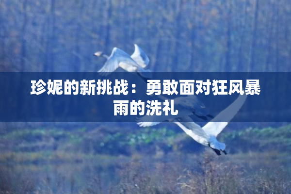 珍妮的新挑战：勇敢面对狂风暴雨的洗礼