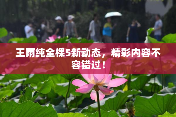 王雨纯全棵5新动态，精彩内容不容错过！
