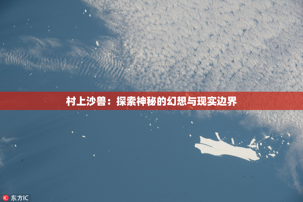 村上沙兽：探索神秘的幻想与现实边界