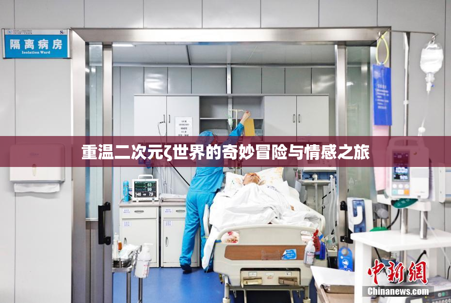 重温二次元ζ世界的奇妙冒险与情感之旅