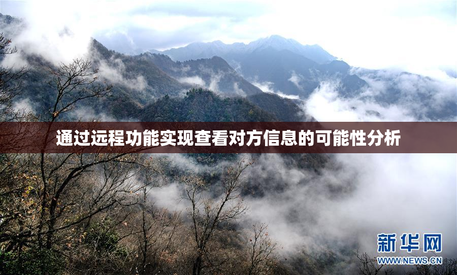 通过远程功能实现查看对方信息的可能性分析