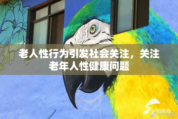 老人性行为引发社会关注，关注老年人性健康问题