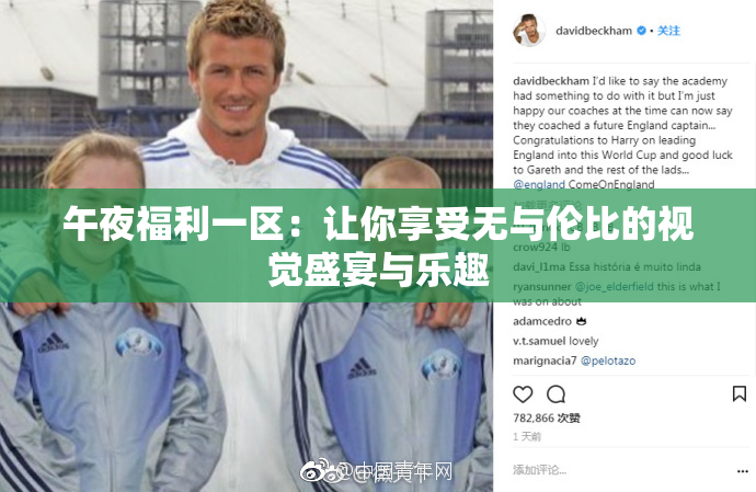午夜福利一区：让你享受无与伦比的视觉盛宴与乐趣