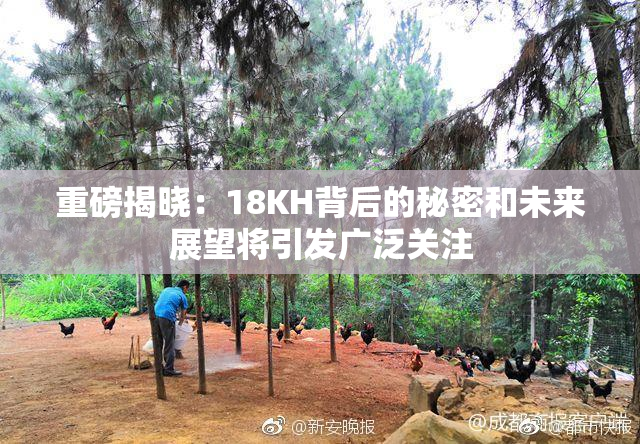 重磅揭晓：18KH背后的秘密和未来展望将引发广泛关注