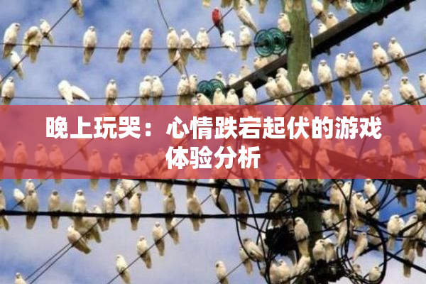 晚上玩哭：心情跌宕起伏的游戏体验分析