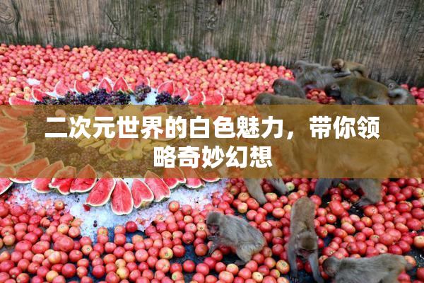 二次元世界的白色魅力，带你领略奇妙幻想