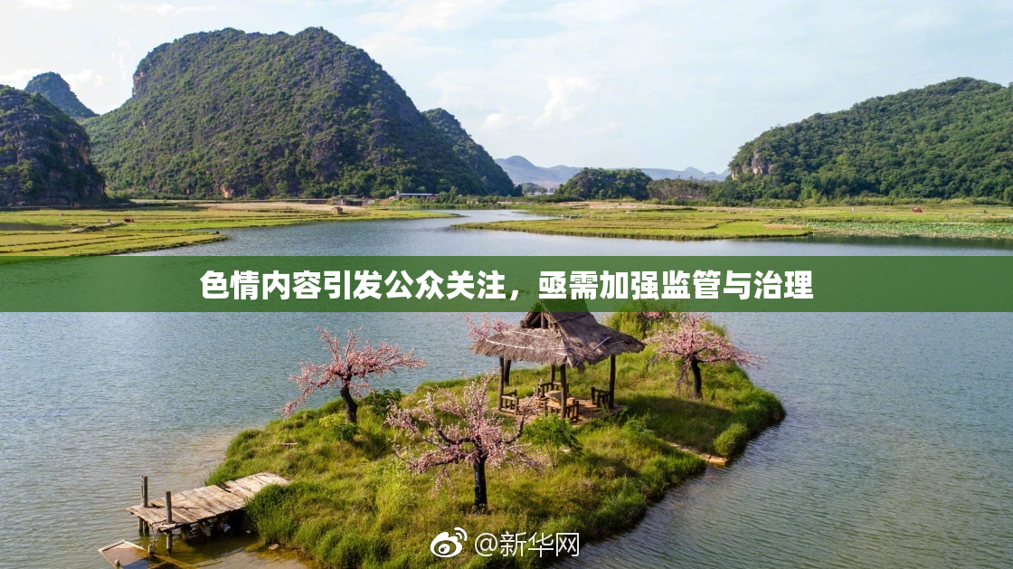 色情内容引发公众关注，亟需加强监管与治理