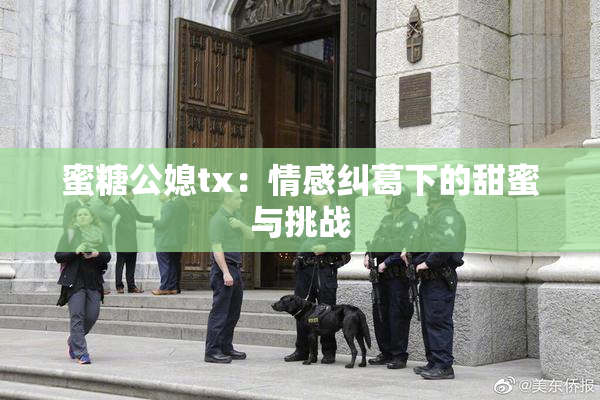 蜜糖公媳tx：情感纠葛下的甜蜜与挑战