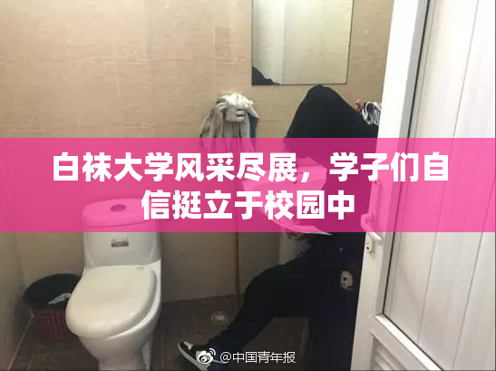 白袜大学风采尽展，学子们自信挺立于校园中