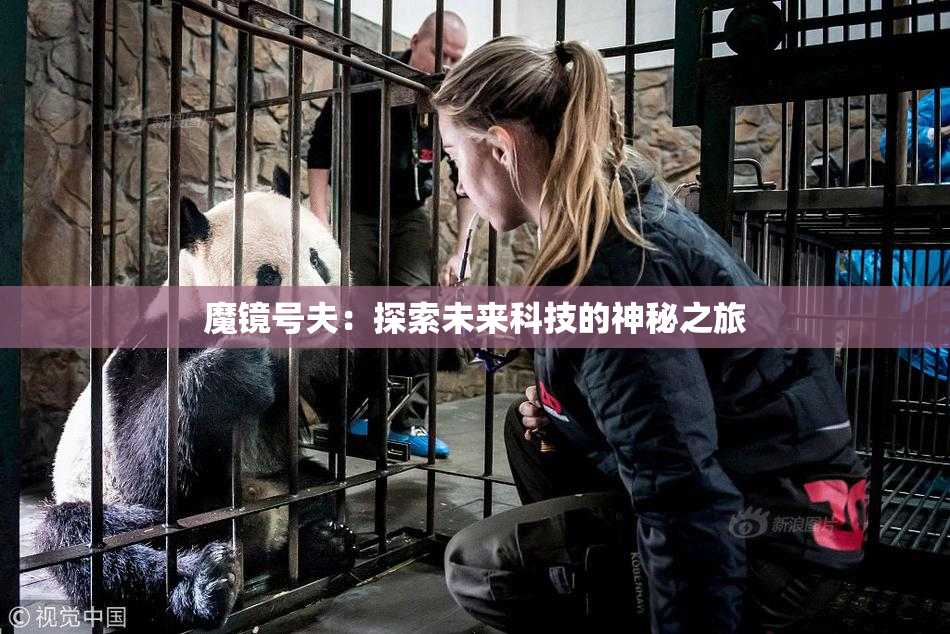 魔镜号夫：探索未来科技的神秘之旅