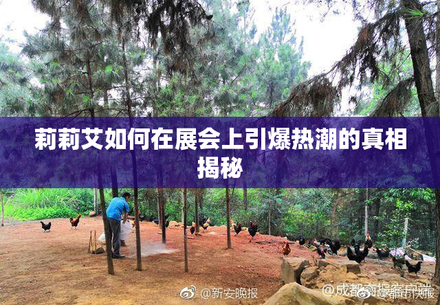 莉莉艾如何在展会上引爆热潮的真相揭秘