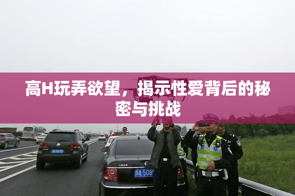 高H玩弄欲望，揭示性爱背后的秘密与挑战