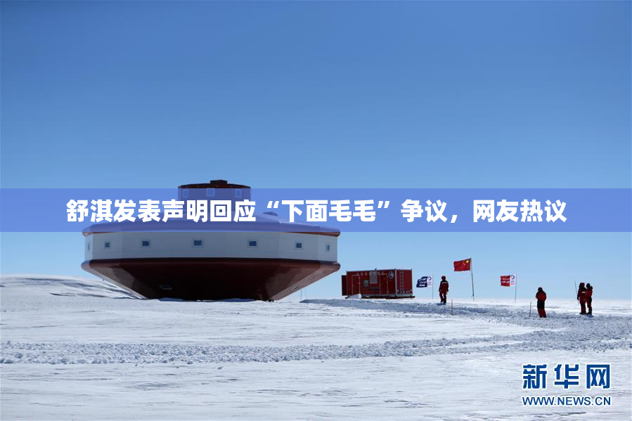 舒淇发表声明回应“下面毛毛”争议，网友热议