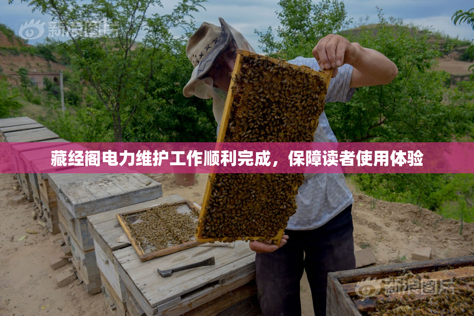 藏经阁电力维护工作顺利完成，保障读者使用体验