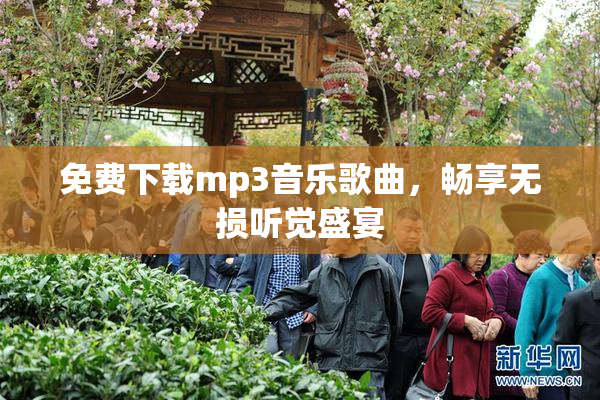 免费下载mp3音乐歌曲，畅享无损听觉盛宴