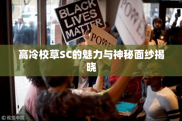 高冷校草SC的魅力与神秘面纱揭晓
