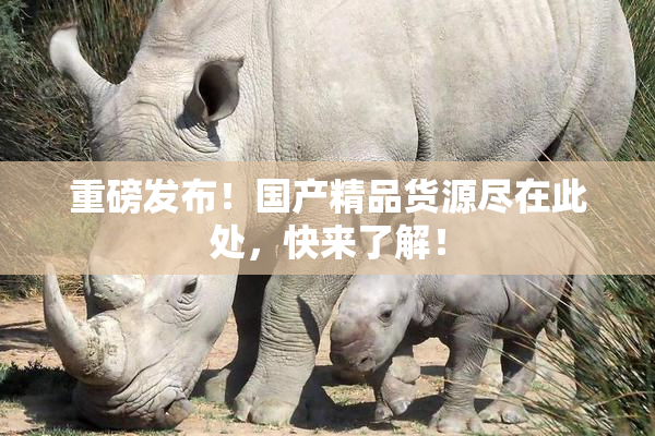 重磅发布！国产精品货源尽在此处，快来了解！