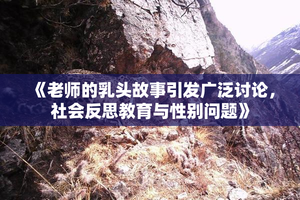 《老师的乳头故事引发广泛讨论，社会反思教育与性别问题》