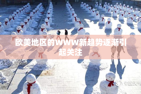 欧美地区的WWW新趋势逐渐引起关注