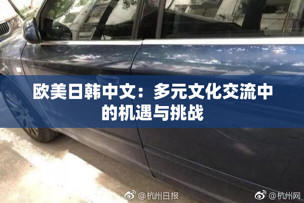 欧美日韩中文：多元文化交流中的机遇与挑战