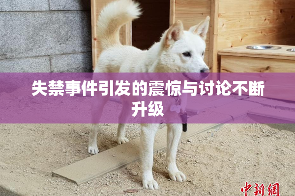 失禁事件引发的震惊与讨论不断升级
