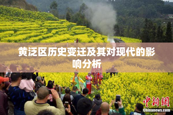 黄泛区历史变迁及其对现代的影响分析