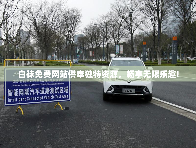 白袜免费网站供奉独特资源，畅享无限乐趣!