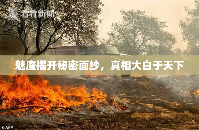 魅魔揭开秘密面纱，真相大白于天下