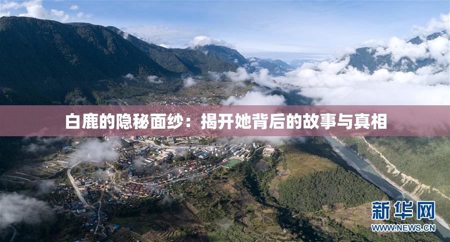 白鹿的隐秘面纱：揭开她背后的故事与真相