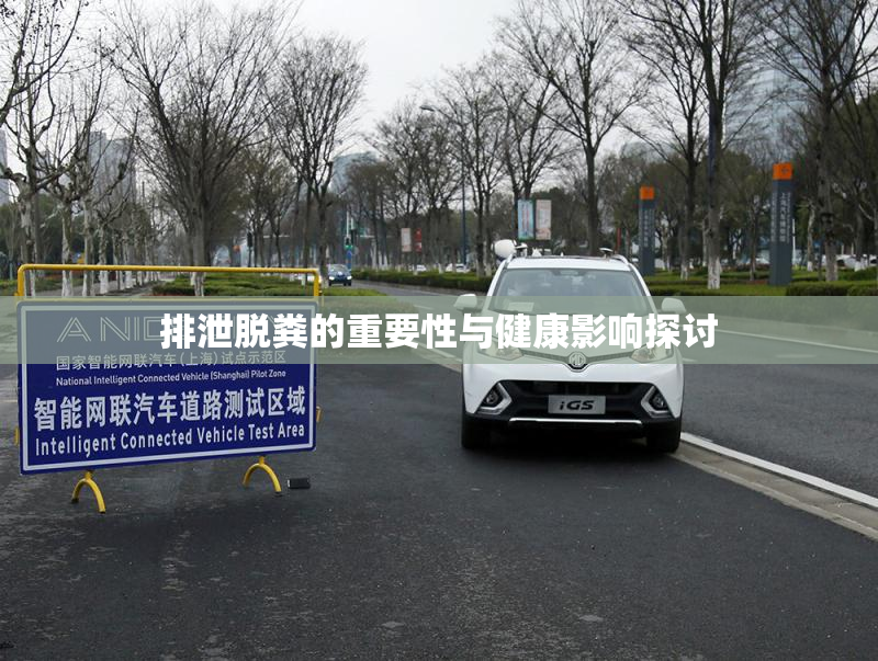 排泄脱粪的重要性与健康影响探讨