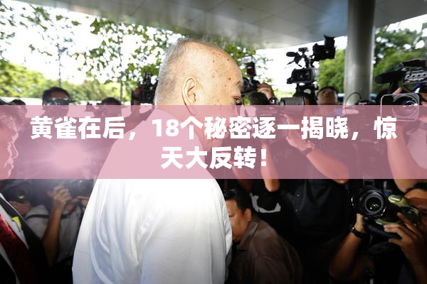 黄雀在后，18个秘密逐一揭晓，惊天大反转！