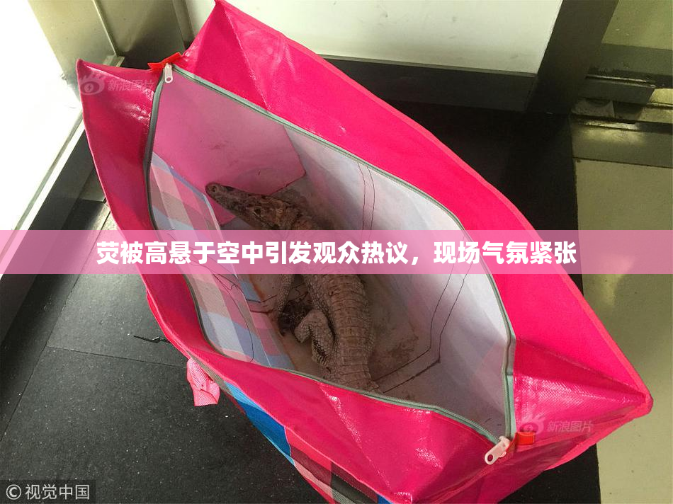 荧被高悬于空中引发观众热议，现场气氛紧张