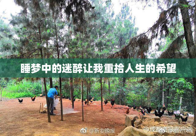 睡梦中的迷醉让我重拾人生的希望