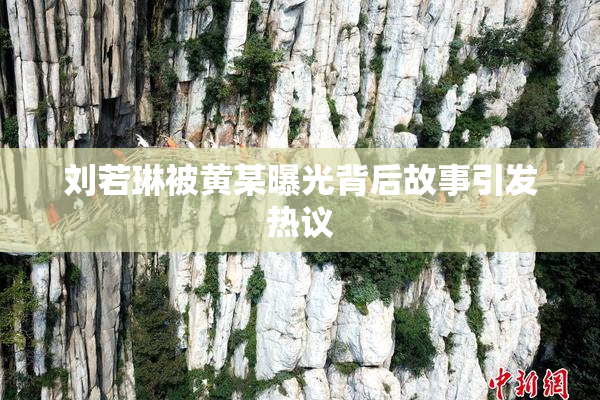 刘若琳被黄某曝光背后故事引发热议