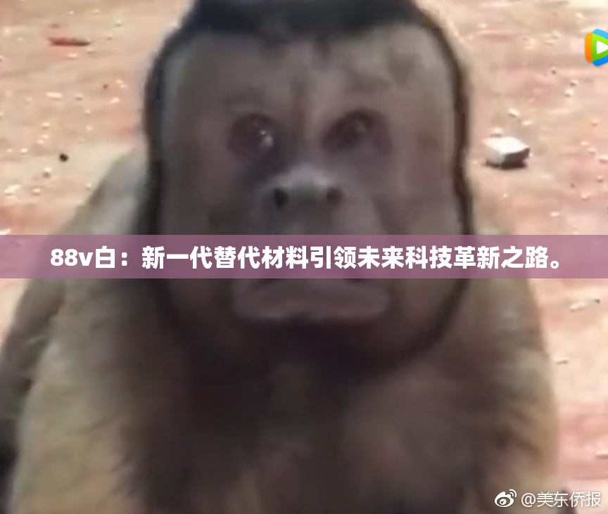 88v白：新一代替代材料引领未来科技革新之路。