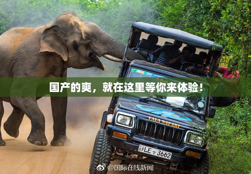 国产的爽，就在这里等你来体验！