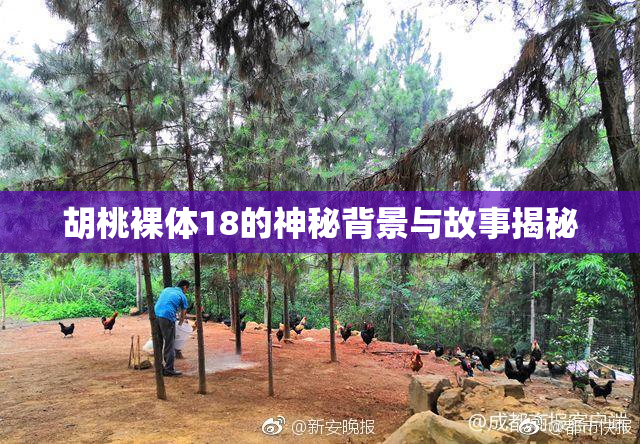胡桃裸体18的神秘背景与故事揭秘