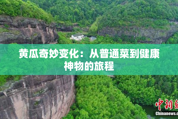黄瓜奇妙变化：从普通菜到健康神物的旅程