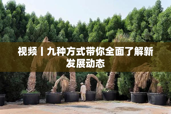 视频丨九种方式带你全面了解新发展动态