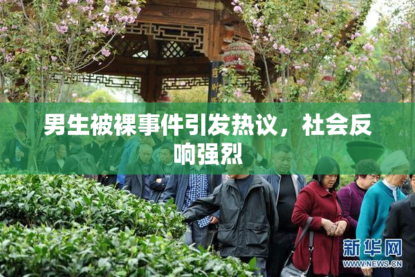 男生被裸事件引发热议，社会反响强烈