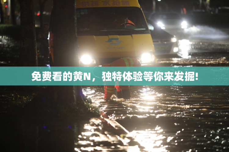 免费看的黄Ν，独特体验等你来发掘!