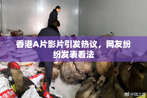 香港A片影片引发热议，网友纷纷发表看法