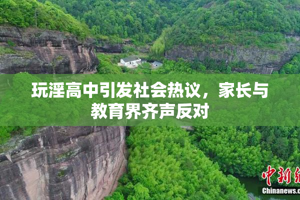 玩淫高中引发社会热议，家长与教育界齐声反对
