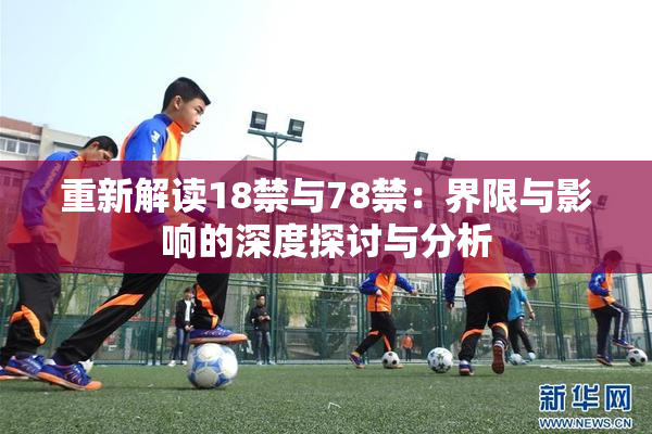 重新解读18禁与78禁：界限与影响的深度探讨与分析
