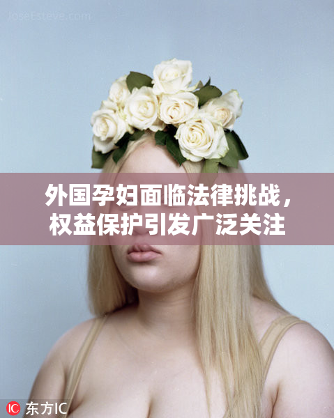 外国孕妇面临法律挑战，权益保护引发广泛关注