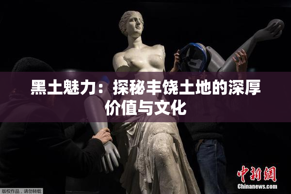 黑土魅力：探秘丰饶土地的深厚价值与文化