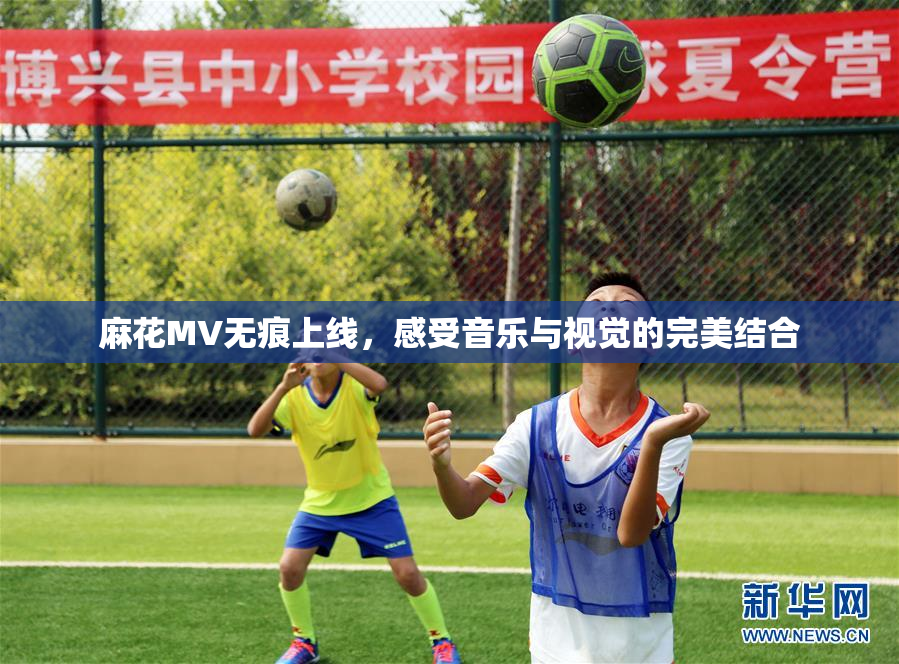 麻花MV无痕上线，感受音乐与视觉的完美结合