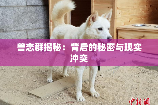 兽恋群揭秘：背后的秘密与现实冲突