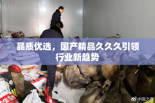 品质优选，国产精品久久久引领行业新趋势