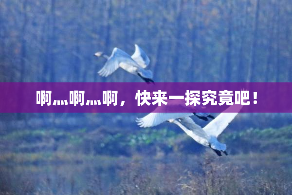 啊灬啊灬啊，快来一探究竟吧！